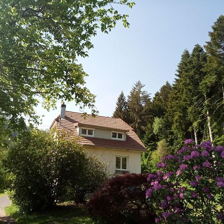 Vosges House 110 M2 In The Heart Of Nature L'Oree Du Bois Saint-Michel-sur-Meurthe Экстерьер фото