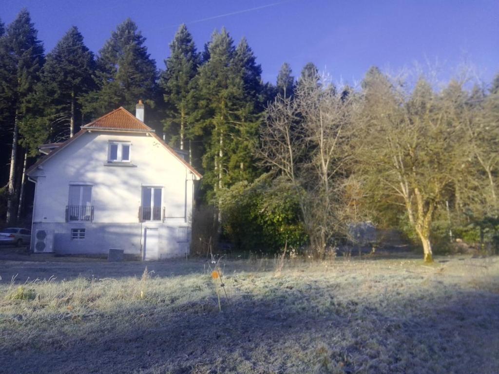 Vosges House 110 M2 In The Heart Of Nature L'Oree Du Bois Saint-Michel-sur-Meurthe Экстерьер фото