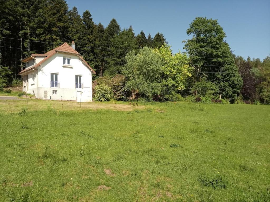 Vosges House 110 M2 In The Heart Of Nature L'Oree Du Bois Saint-Michel-sur-Meurthe Экстерьер фото