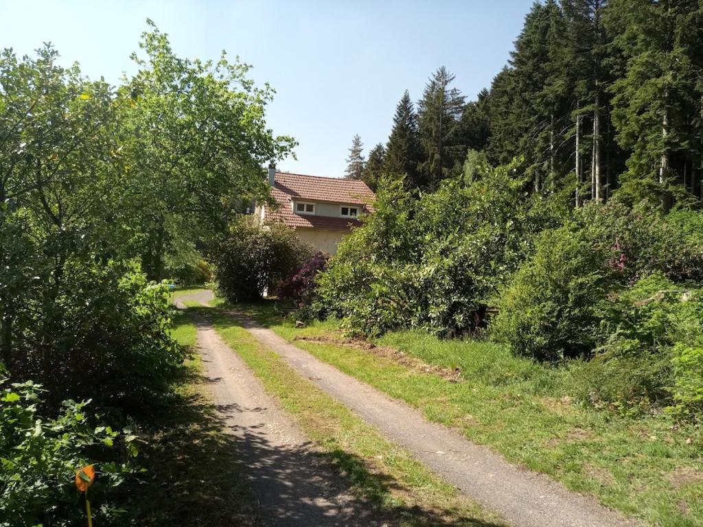 Vosges House 110 M2 In The Heart Of Nature L'Oree Du Bois Saint-Michel-sur-Meurthe Экстерьер фото