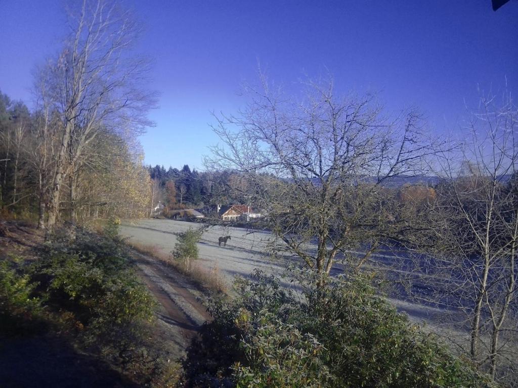 Vosges House 110 M2 In The Heart Of Nature L'Oree Du Bois Saint-Michel-sur-Meurthe Экстерьер фото