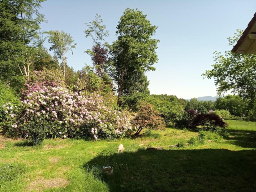 Vosges House 110 M2 In The Heart Of Nature L'Oree Du Bois Saint-Michel-sur-Meurthe Экстерьер фото