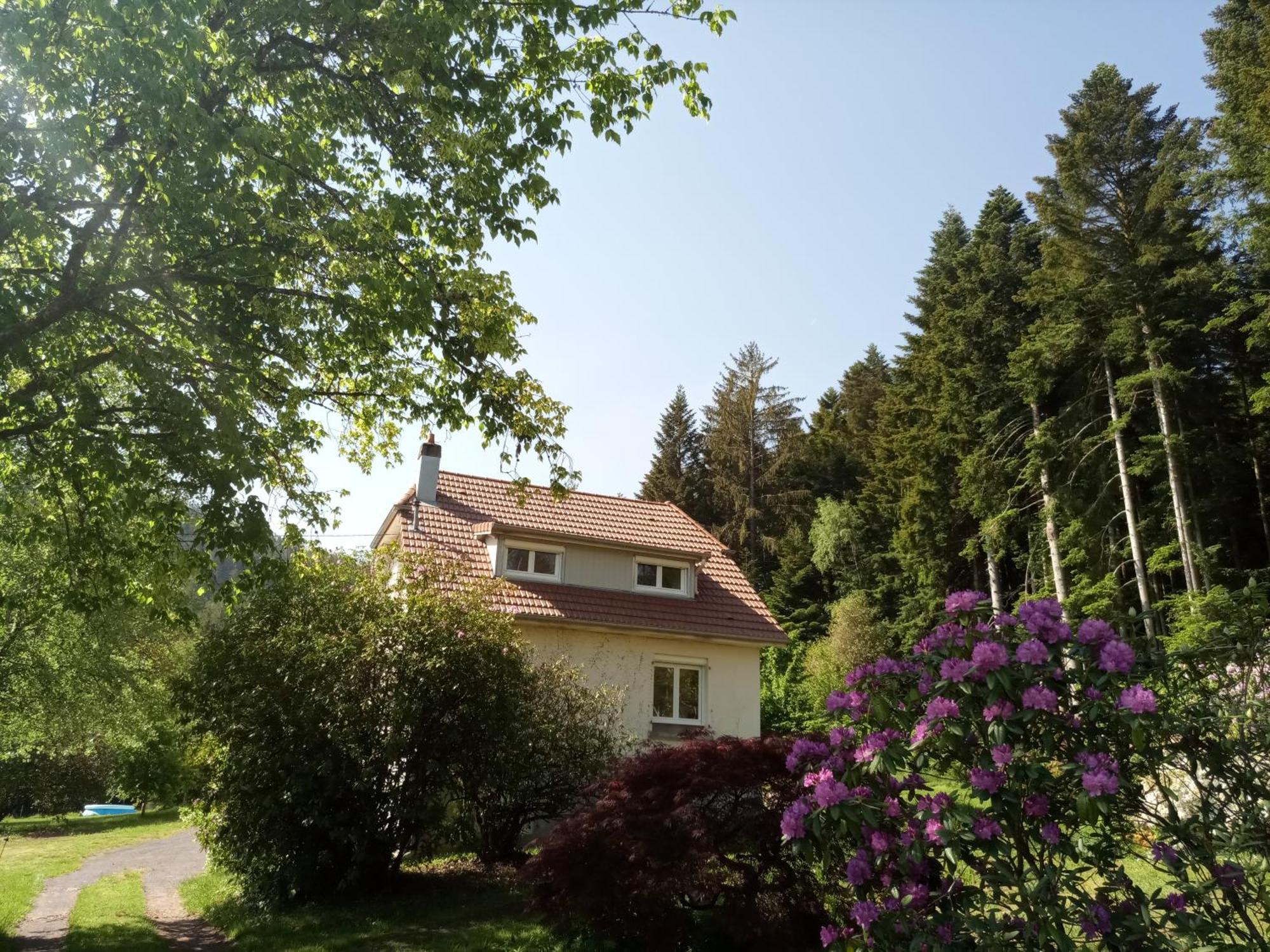 Vosges House 110 M2 In The Heart Of Nature L'Oree Du Bois Saint-Michel-sur-Meurthe Экстерьер фото